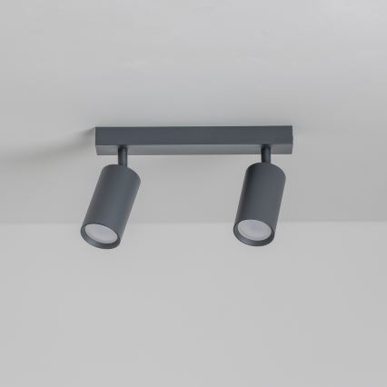 Brilagi - LED-dimbart spotarmatur SELE 2xGU10/6,5W/230V 2700-6500K antracit