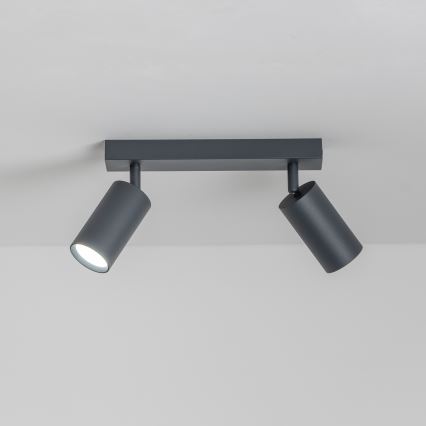 Brilagi - LED-dimbart spotarmatur SELE 2xGU10/6,5W/230V 2700-6500K antracit