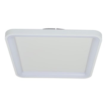 Brilagi - Dimbar LED-taklampa FALCON SLIM LED/50W/230V 3000-6500K 50x50 cm vit + fjärrkontroll
