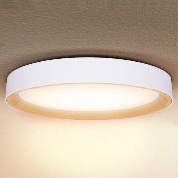 Brilagi - dimbar LED-taklampa LARIOS LED/72W/230V vit Ø 59 cm + fjärrkontroll