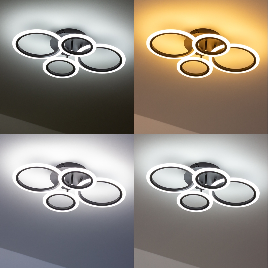 Brilagi - Dimbar LED ytmonterad ljuskrona ORBITS LED/50W/230V 3000-6500K antracit + fjärrkontroll