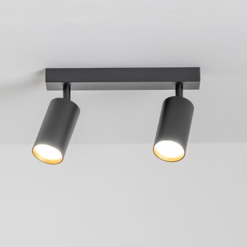 Brilagi - Dimbart LED-spot SELE 2xGU10/6,5W/230V 2700-6500K svart/guld