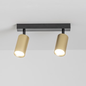 Brilagi - Dimbart LED-spot SELE GOLDEN 2xGU10/6,5W/230V 2700-6500K svart/guld