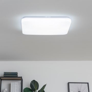 Brilagi - Dimbart LED-takarmatur PINE LED/60W/230V Ø 52 cm 3000-6500K + fjärrkontroll