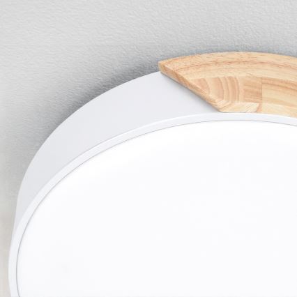 Brilagi - Dimbar LED-taklampa PILANA LED/60W/230V 3000–6500K ek/vit Ø 60 cm + fjärrkontroll