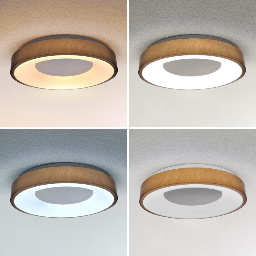 Brilagi - LED dimbar taklampa DORIA LED/48W/230V 3000-6500K Ø 39 cm + fjärrkontroll