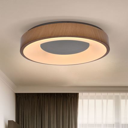 Brilagi - LED dimbar taklampa DORIA LED/48W/230V 3000-6500K Ø 39 cm + fjärrkontroll