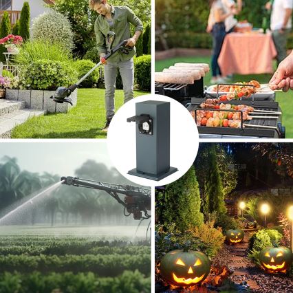Brilagi - Kolumn med eluttag för utomhusbruk PILLAR 1Z SCHUKO 230V IP44 antracit