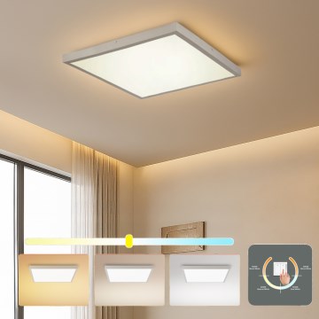 Brilagi - LED badrumstaklampa FRAME LED/50W/230V 3000/4000/6000K 60x60 cm IP44 silver