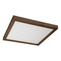 Brilagi - LED Badrumstaklampset WOODY FRAME LED/40W/230V 60x60 cm IP44 valnöt