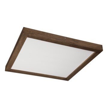 Brilagi - LED Badrumstaklampset WOODY FRAME LED/40W/230V 60x60 cm IP44 valnöt