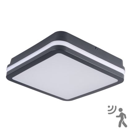 Brilagi - LED belysning med sensor för utomhusbruk BENE LED/18W/230V 22x22 cm antracit IP54