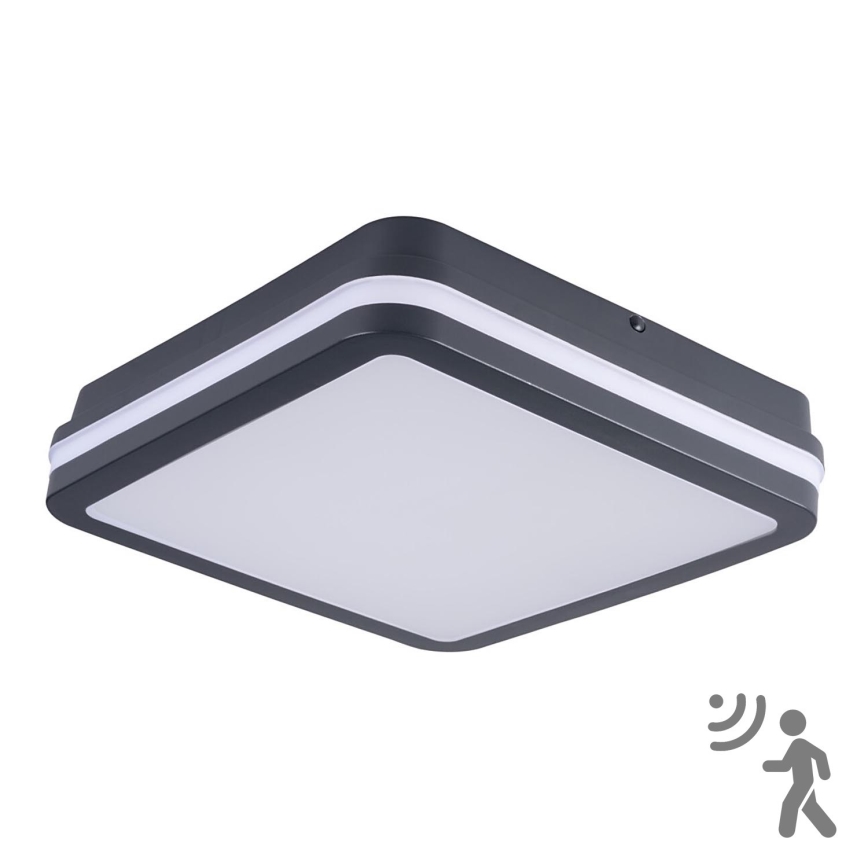 Brilagi - LED Utomhusbelysning med rörelsessensor BENE LED/24W/230V 26x26 cm antracit IP54