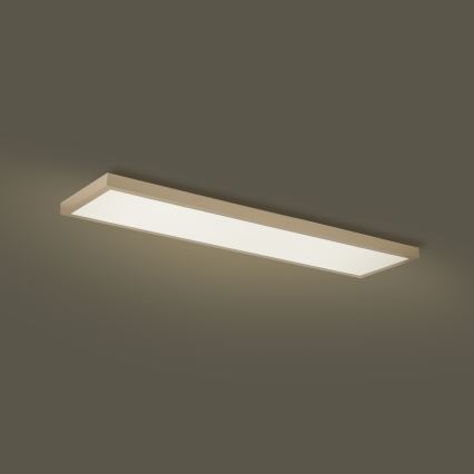 Brilagi - LED Dimmbar badrumstaklampa FRAME SMART LED/50W/230V 120x30 cm 3000-6000K IP44 beige + fjärrkontroll