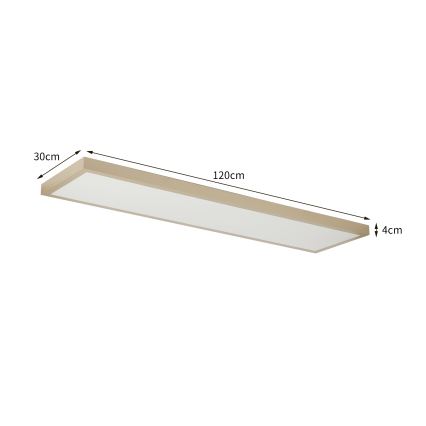 Brilagi - LED Dimmbar badrumstaklampa FRAME SMART LED/50W/230V 120x30 cm 3000-6000K IP44 beige + fjärrkontroll