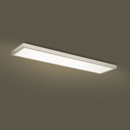 Brilagi - LED ljusreglerad taklampa till badrum FRAME SMART LED/50W/230V 120x30 cm 3000-6000K IP44 silver + fjärrkontroll