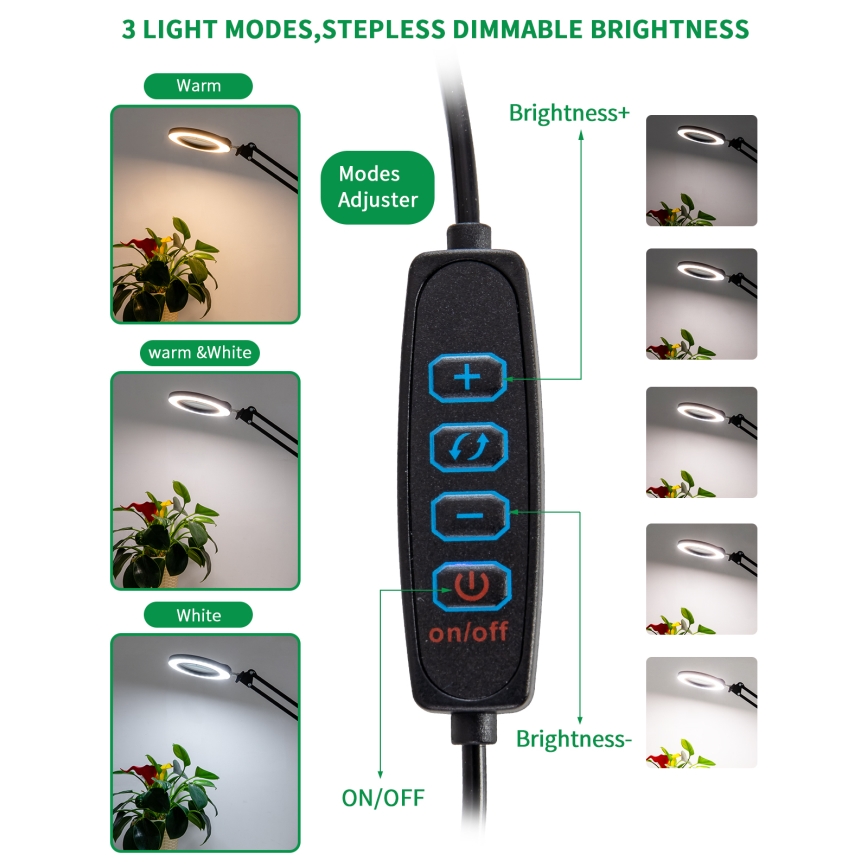 Brilagi - LED Dimbar bordslampa med ett förstoringsglas LENS LED/12W/5V 3000/4200/6000K svart