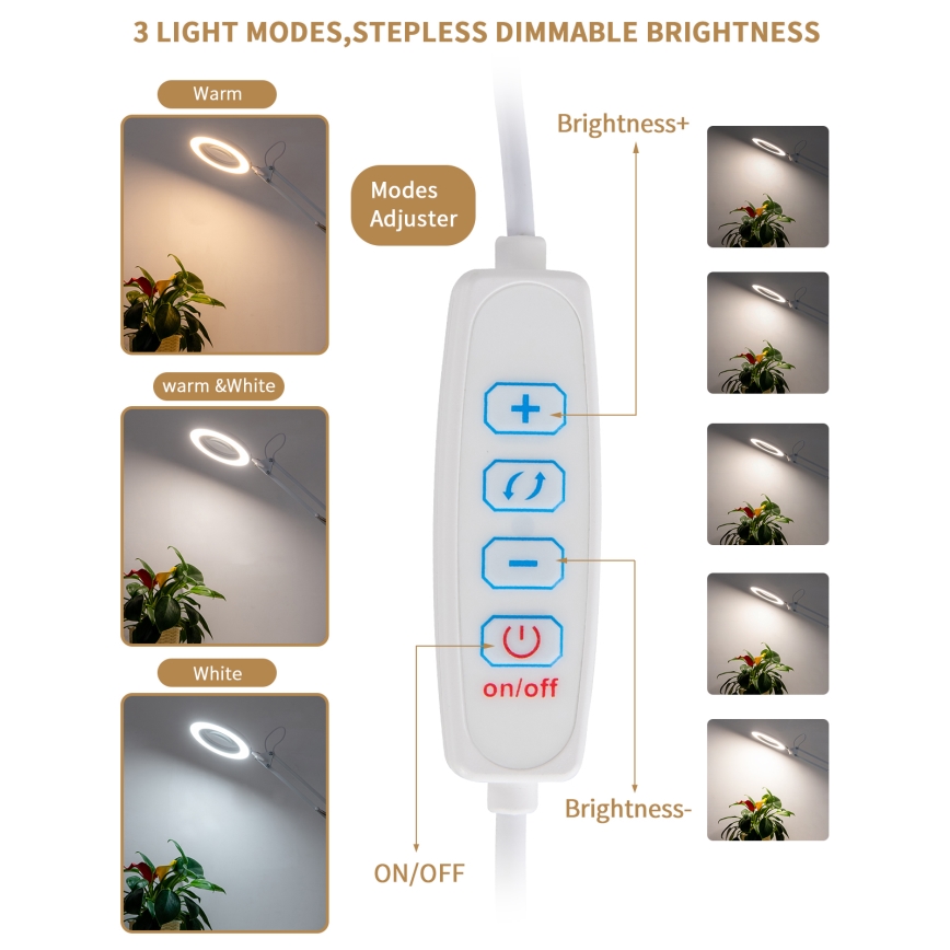 Brilagi - LED Dimbar bordslampa med ett förstoringsglas LENS LED/12W/5V 3000/4200/6000K vit