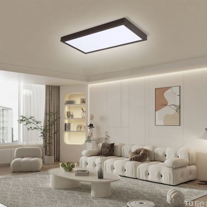 Brilagi - LED ljusreglerad taklampa till badrum FRAME SMART LED/30W/230V 30x60 cm 3000-6000K  IP44 svart  + fjärrkontroll
