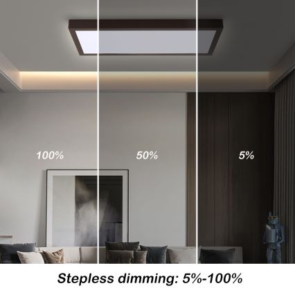 Brilagi - LED ljusreglerad taklampa till badrum FRAME SMART LED/30W/230V 30x60 cm 3000-6000K  IP44 svart  + fjärrkontroll