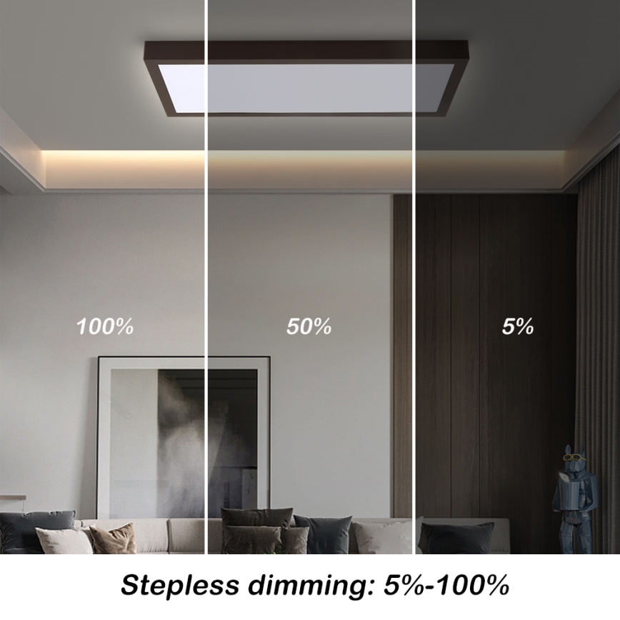 Brilagi - LED ljusreglerad taklampa till badrum FRAME SMART LED/30W/230V 30x60 cm 3000-6000K  IP44 svart  + fjärrkontroll