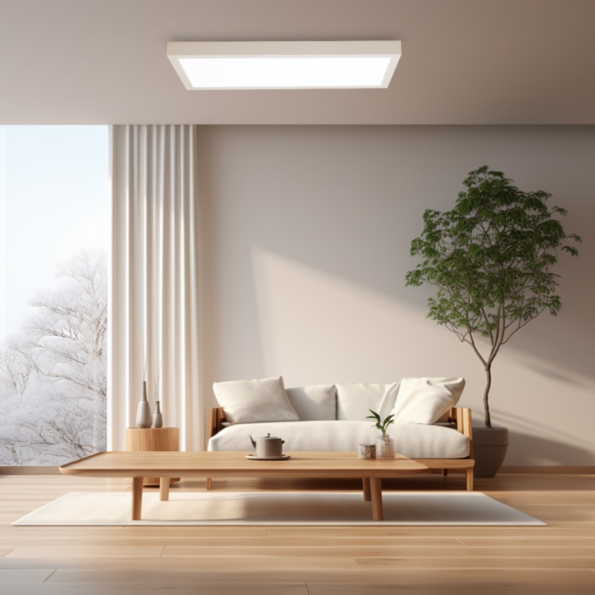 Brilagi - LED ljusreglerad taklampa till badrum FRAME SMART LED/30W/230V 30x60 cm 3000-6000K IP44 vit + fjärrkontroll