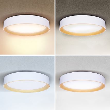Brilagi - LED Dimbar taklampa LARIOS LED/48W/230V 3000-6500K ø 39 cm vit + fjärrkontroll