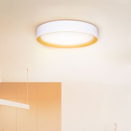 Brilagi - LED Dimbar taklampa LARIOS LED/48W/230V 3000-6500K ø 39 cm vit + fjärrkontroll