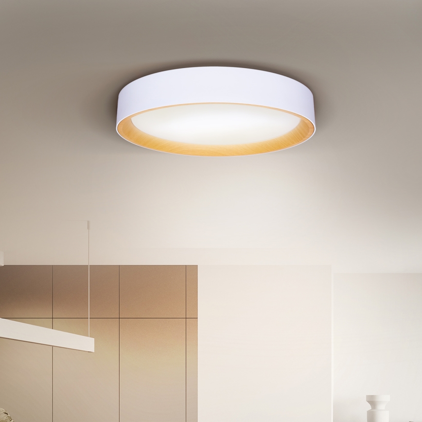 Brilagi - LED Dimbar taklampa LARIOS LED/48W/230V 3000-6500K ø 39 cm vit + fjärrkontroll