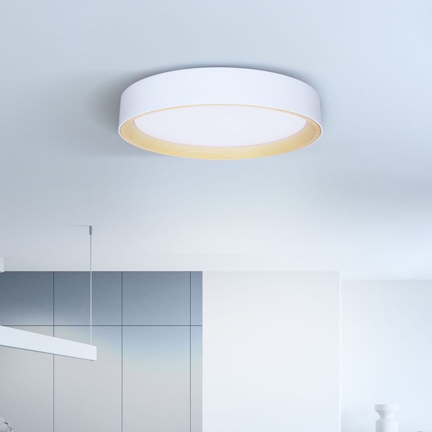 Brilagi - LED Dimbar taklampa LARIOS LED/48W/230V 3000-6500K ø 39 cm vit + fjärrkontroll