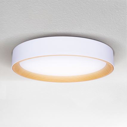 Brilagi - LED Dimbar taklampa LARIOS LED/48W/230V 3000-6500K ø 39 cm vit + fjärrkontroll