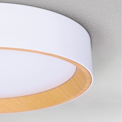 Brilagi - LED Dimbar taklampa LARIOS LED/48W/230V 3000-6500K ø 39 cm vit + fjärrkontroll
