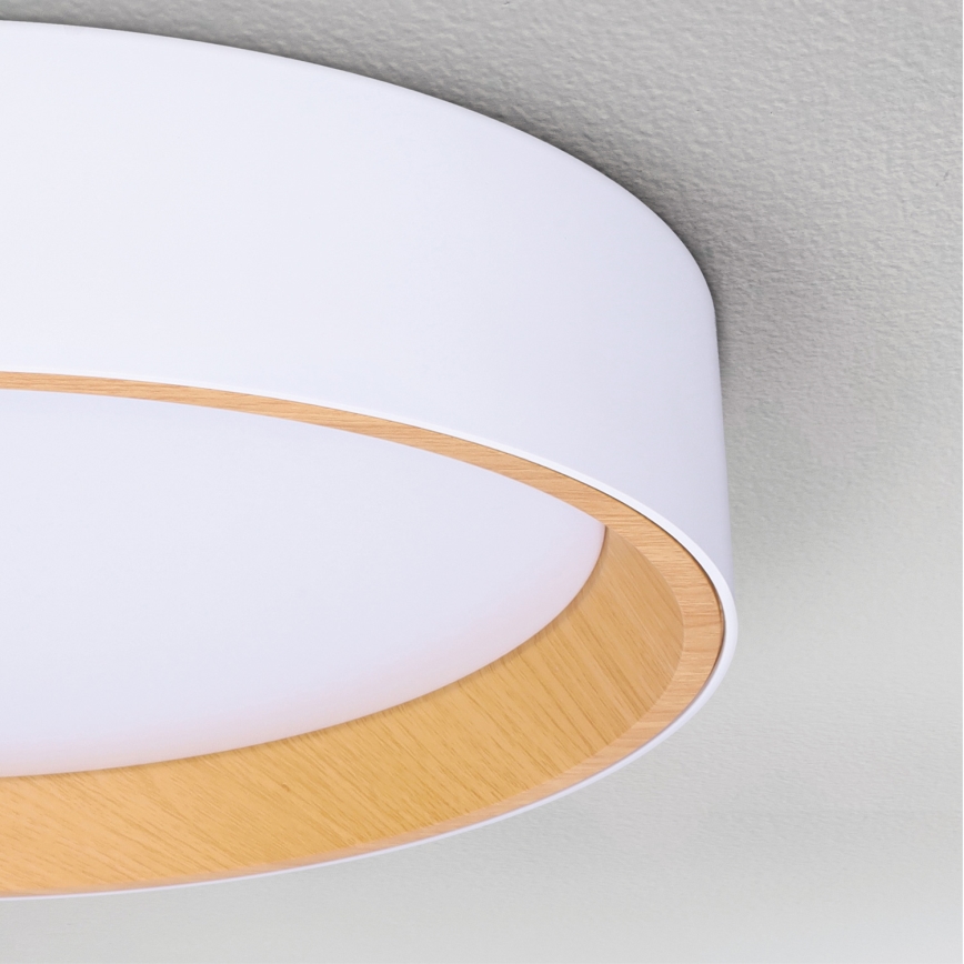 Brilagi - LED Dimbar taklampa LARIOS LED/48W/230V 3000-6500K ø 39 cm vit + fjärrkontroll