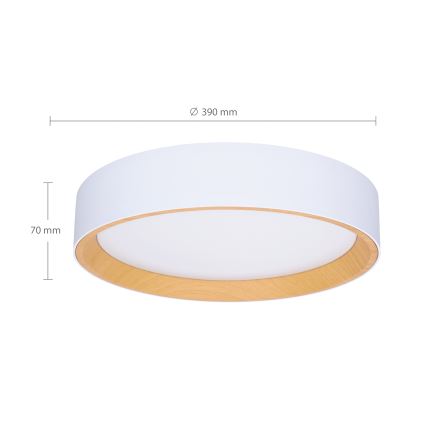 Brilagi - LED Dimbar taklampa LARIOS LED/48W/230V 3000-6500K ø 39 cm vit + fjärrkontroll
