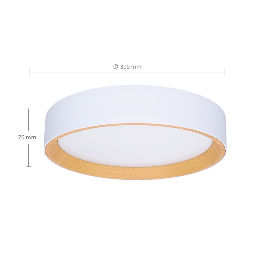Brilagi - LED Dimbar taklampa LARIOS LED/48W/230V 3000-6500K ø 39 cm vit + fjärrkontroll