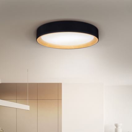 Brilagi - LED Dimbar taklampa LARIOS LED/60W/230V 3000-6500K ø 49 cm svart + fjärrkontroll