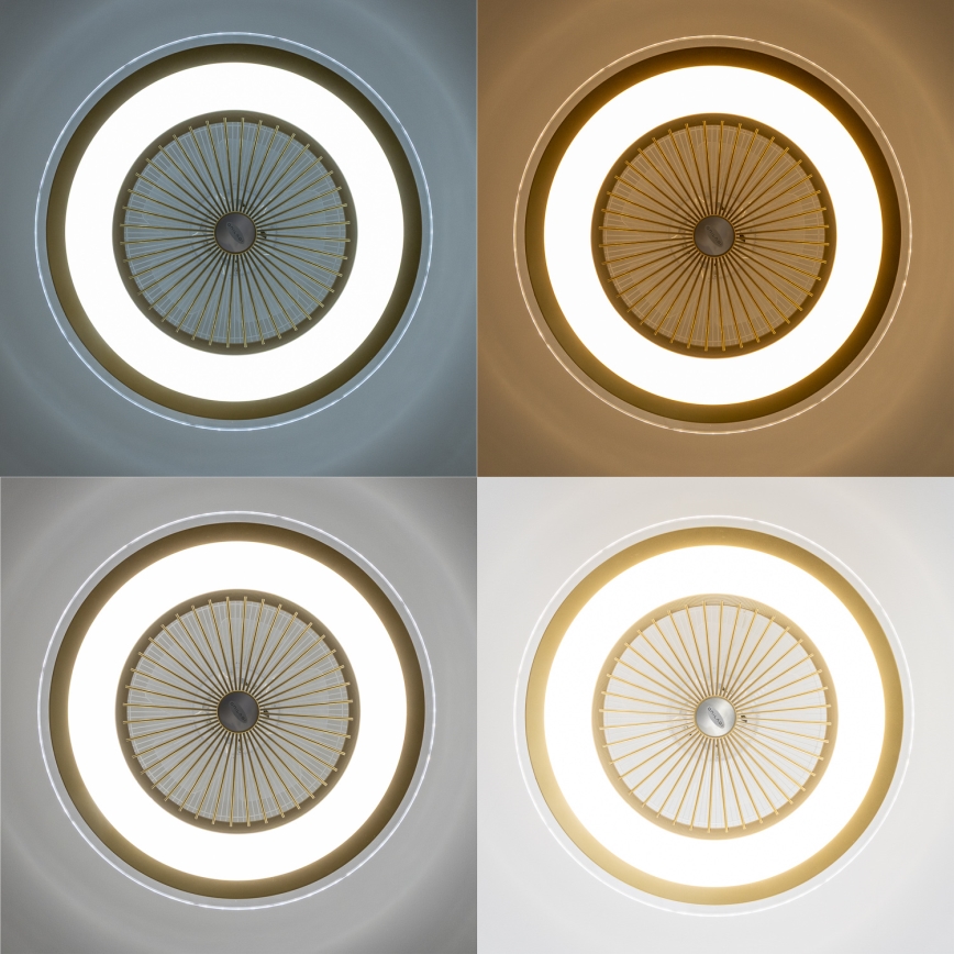 Brilagi - LED Dimbar lampa med fläkt RONDA LED/48W/230V 3000-6000K guld + fjärrkontroll