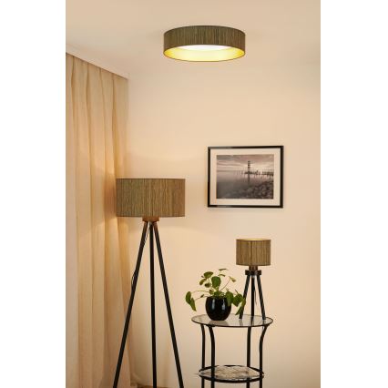 Brilagi - LED Dimbar taklampa VEGAS SHINE LED/24W/230V 3000/4000/6500K strå brun/guld + fjärrkontroll