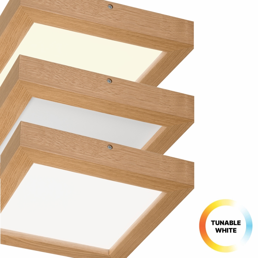 Brilagi - LED ljusreglerad taklampa till badrum WOODY FRAME LED/24W/230V ek 30x30 cm 3000-6000K IP44 + fjärrkontroll