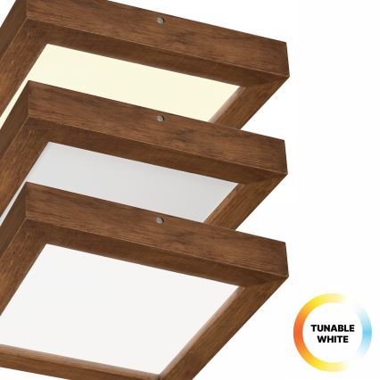 Brilagi - LED ljusreglerad taklampa till badrum WOODY FRAME LED/24W/230V ek körsbär 30x30 cm 3000-6000K IP44 + fjärrkontroll