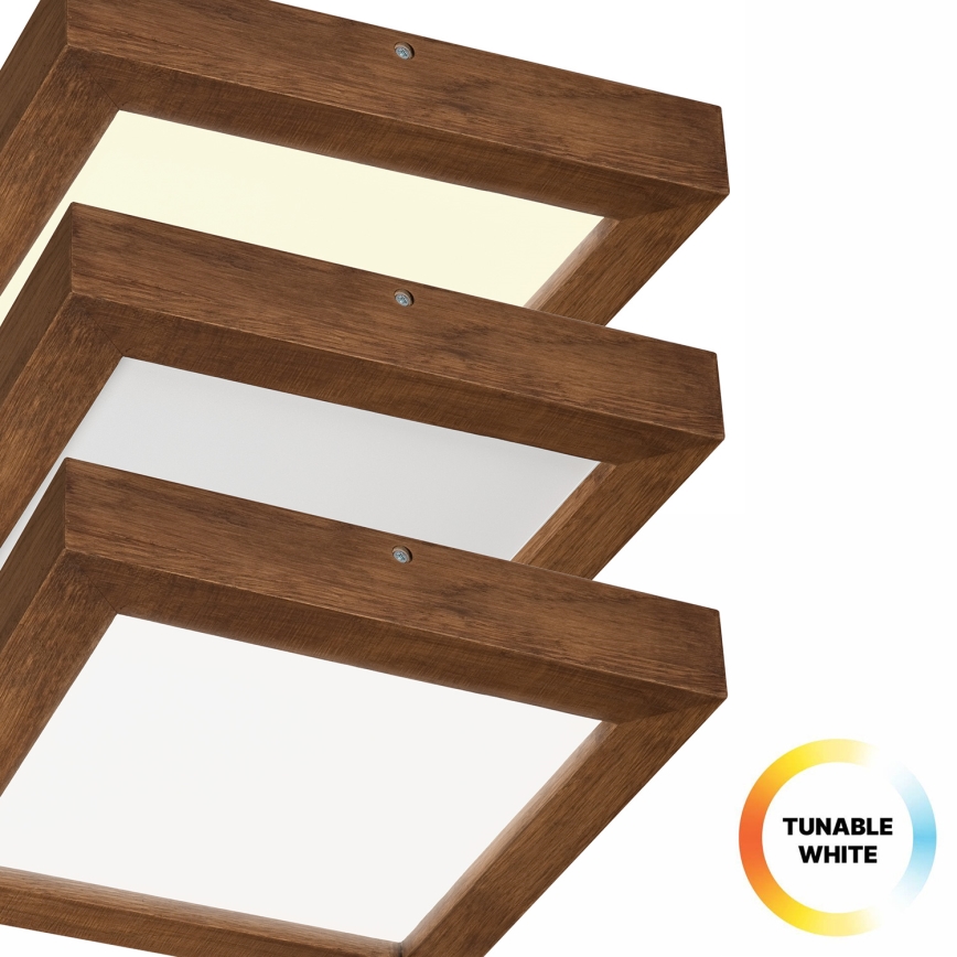 Brilagi - LED ljusreglerad taklampa till badrum WOODY FRAME LED/24W/230V ek körsbär 30x30 cm 3000-6000K IP44 + fjärrkontroll