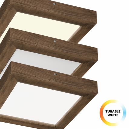 Brilagi - LED ljusreglerad taklampa till badrum WOODY FRAME LED/24W/230V ek 30x30 cm 3000-6000K IP44 + fjärrkontroll