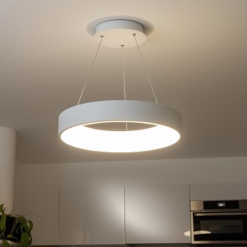 Brilagi - LED Dimbar ljuskrona med upphängning FALCON LED/80W/230V 3000-6500K d. 60 cm vit+ fjärrkontroll