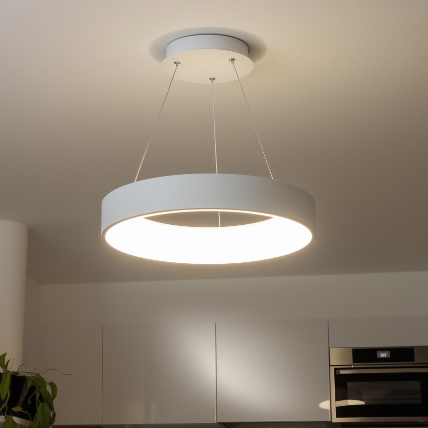 Brilagi - LED Dimbar ljuskrona med upphängning FALCON LED/80W/230V 3000-6500K d. 60 cm vit+ fjärrkontroll