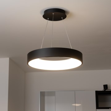 Brilagi - LED Dimbar ljuskrona med upphängning LED/40W/230V 3000-6500K grå+ RC