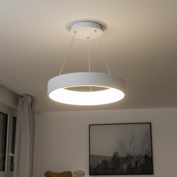 Brilagi - LED Dimbar ljuskrona med upphängningsrem LED/40W/230V 3000-6500K vit+ RC