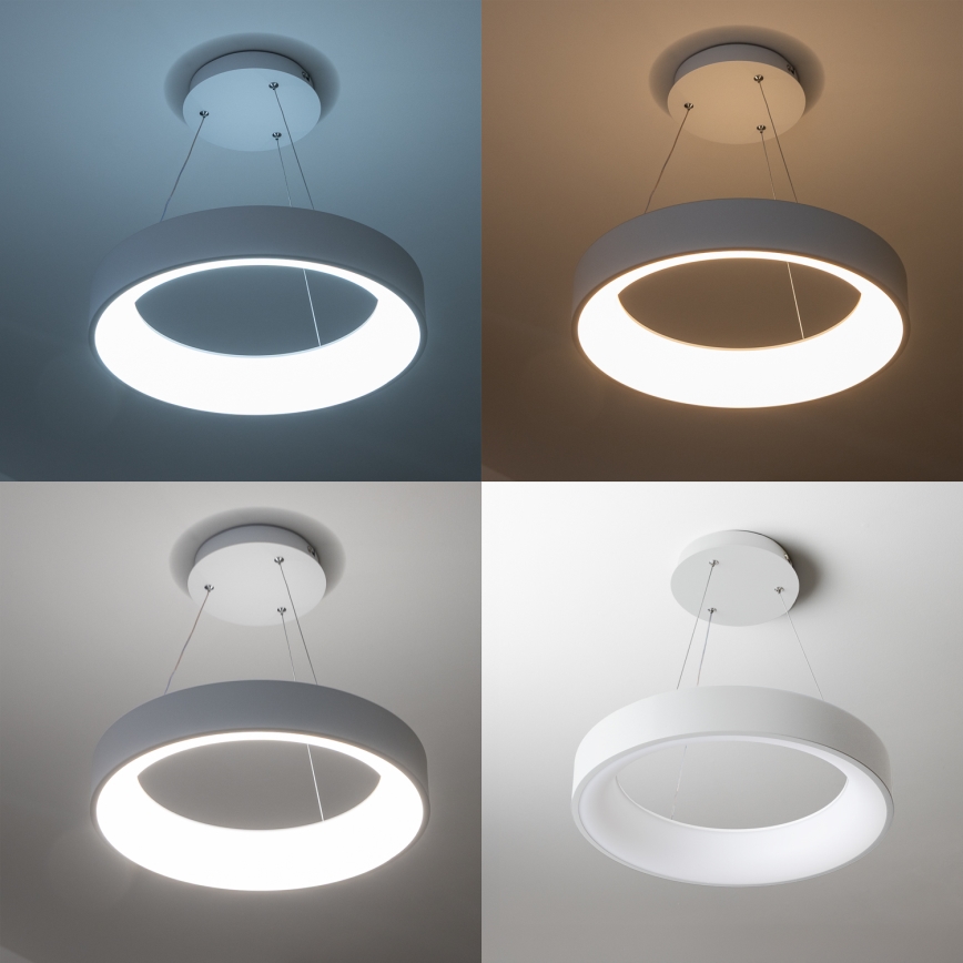Brilagi - LED Dimbar ljuskrona med upphängningsrem LED/40W/230V 3000-6500K vit+ RC