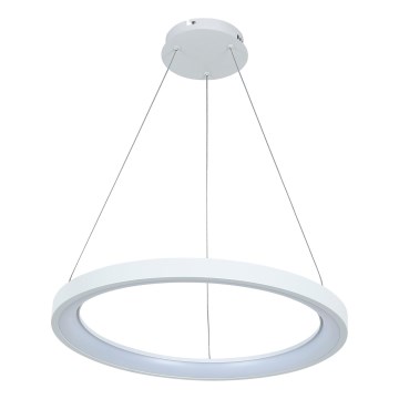 Brilagi - LED dimbar pendel på vajer FALCON SLIM LED/42W/230V 3000-6500K Ø 50 cm vit + fjärrkontroll
