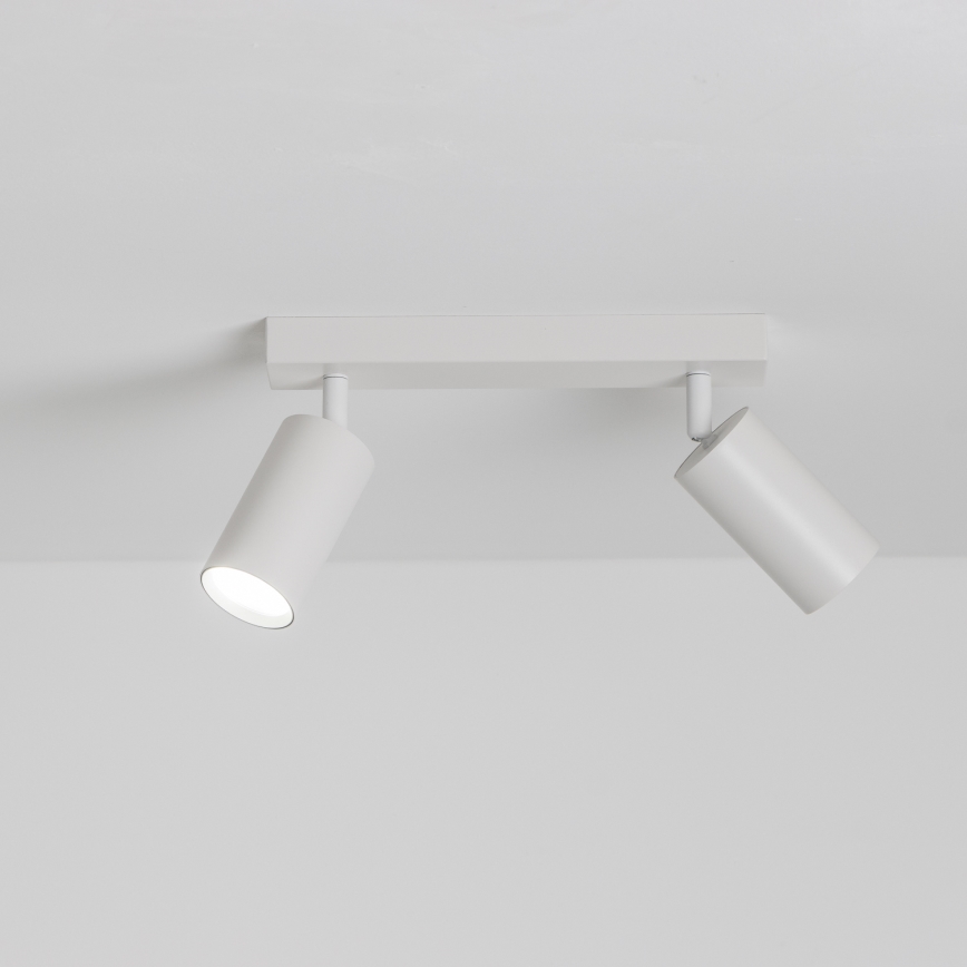 Brilagi - LED dimbar spotlampa SELE 2xGU10/6,5W/230V 2700-6500K vit