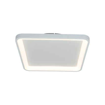 Brilagi - Dimbar LED-taklampa FALCON SLIM LED/50W/230V 3000-6500K 50x50 cm vit + fjärrkontroll